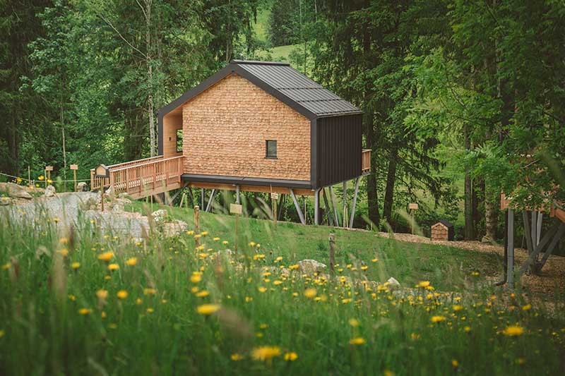 Baumchalets Allgau Glamping Camping